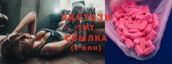 хмурый Абаза