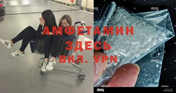 хмурый Абаза