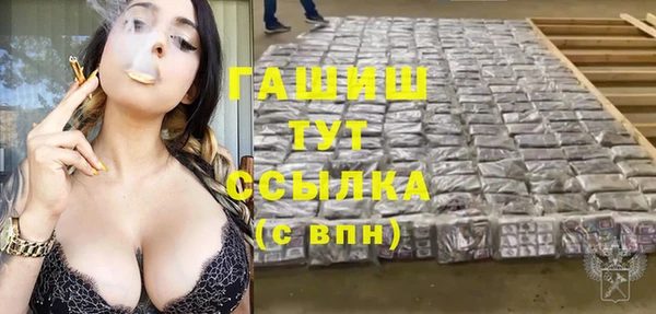 хмурый Абаза