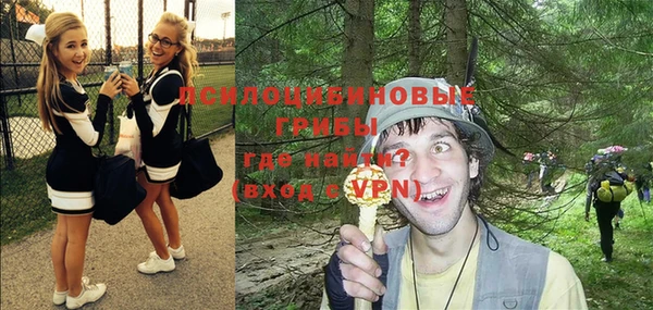 хмурый Абаза