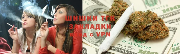 хмурый Абаза