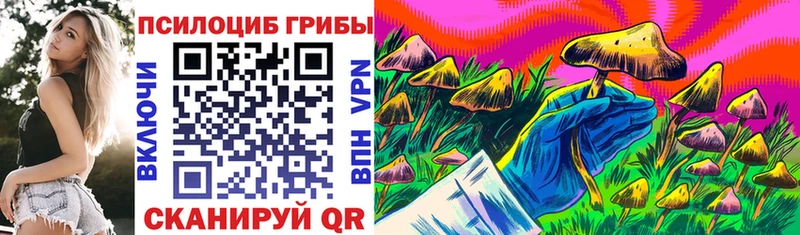 Псилоцибиновые грибы мухоморы  закладки  Партизанск 